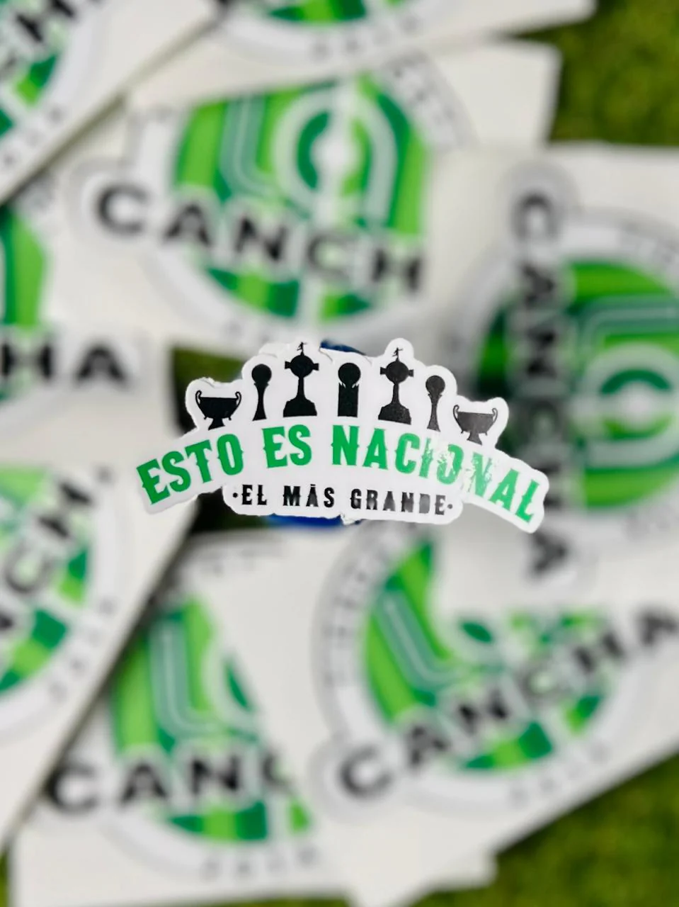 Imagen del producto 7
